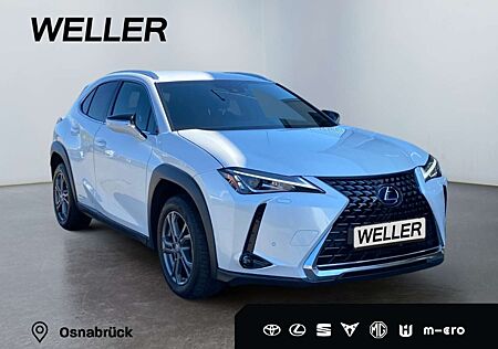Lexus UX 250h Style Edition *Bi-LED*ACC*CAM*SHZ*CarPlay*
