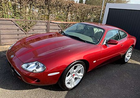 Jaguar XK8 Coupe