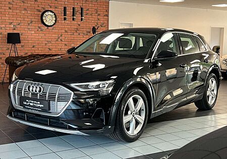 Audi e-tron 50 quattro advanced LED/AHK/CAM/LUFT/SHZ