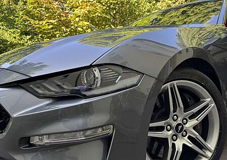 Ford Mustang Fastback 5.0 Ti-VCT V8 ( Sauger )