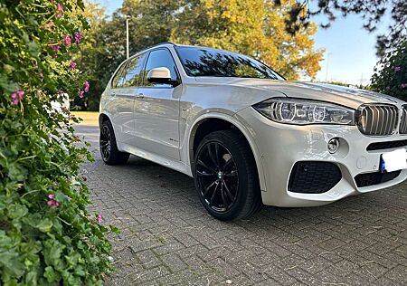 BMW X5 xDrive40d M-Paket 360° Standhz. Voll Parkasissten