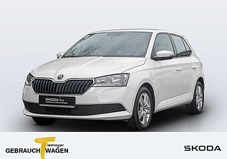 Skoda Fabia 1.0 COOL PLUS KLIMA PDC ZV LM15