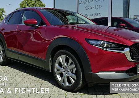 Mazda CX-30 SKYACTIV-G AUTOMATIK SELECTION DESIGN + PREMIUM