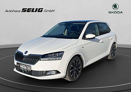 Skoda Fabia 1.0 TSI Best of, ACC, PDC, LED, Sitzhzg.,