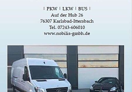 Mercedes-Benz Sprinter III Kasten 314 CDI L2H2 Heckschaden