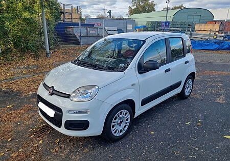 Fiat Panda gebraucht kaufen Fiat Panda 1.2 TÜV NEU**KLIMA