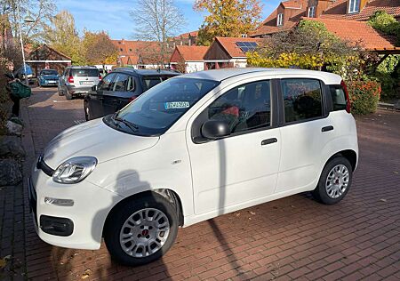 Fiat Panda /Pandina 1.2 Start