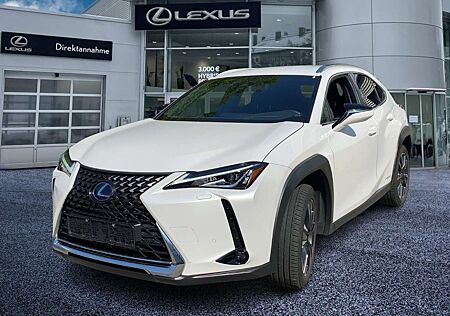 Lexus UX 250h Style Edition ACC FLA ParkAss. SpurW LM