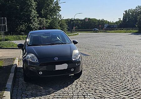 Fiat Punto Basis