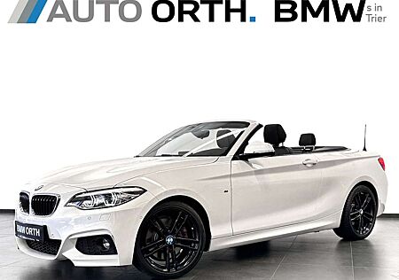 BMW 230 gebraucht kaufen BMW 230 i Cabrio AUT M-SPORT LEDER NAVI-P CAM AHK 18"
