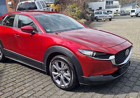 Mazda CX-30 Hybrid !2WD!nur 4828 Km!Navi!360"Kamera!Automatik!