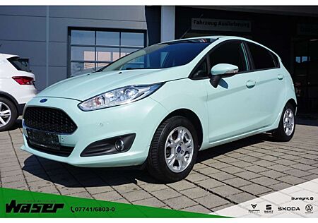 Ford Fiesta 1.0 EcoBoost Celebration Navi Klima Winter LM