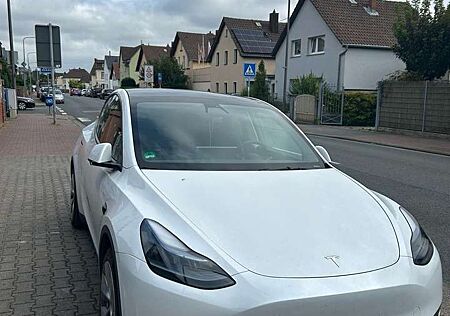 Tesla Model Y RWD