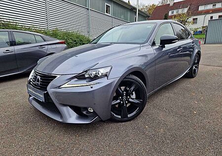 Lexus Others IS 300h Executive Line PDC/Keyless/Kamera