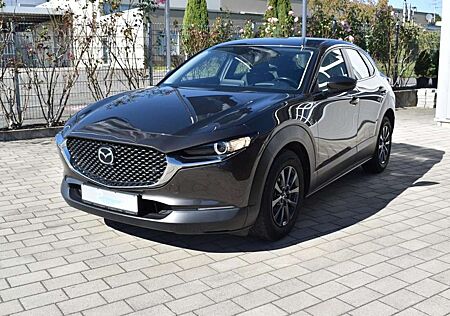 Mazda CX-30 gebraucht kaufen Mazda CX-30 ``Selection`` mit Anhängerkupplung