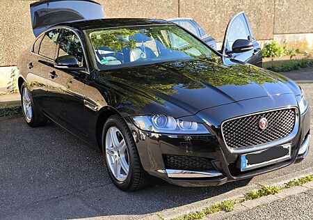 Jaguar XF 20d Aut. Prestige-Navi-Kamera-SHZ-Tempomat-PDC