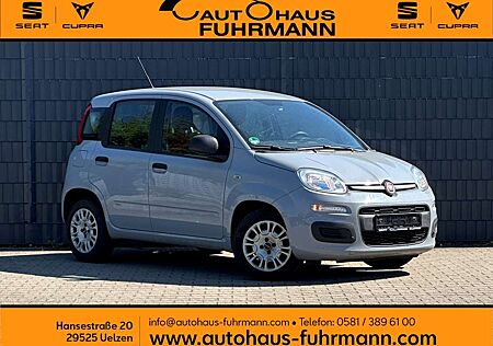 Fiat Panda Easy 1.2 8V KLIMA/RADIO-DAB/TAGFAHRLICHT