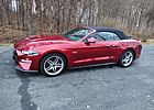 Ford Mustang Convertible 5.0 Ti-VCT V8 GT