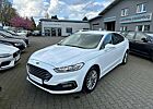 Ford Mondeo 2,0 EcoBlue "Titanium"