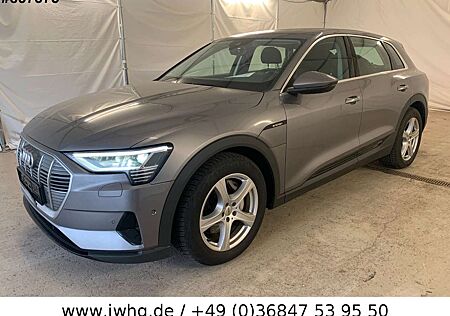 Audi e-tron 55 quattro NAVI/LED/VIRTUAL