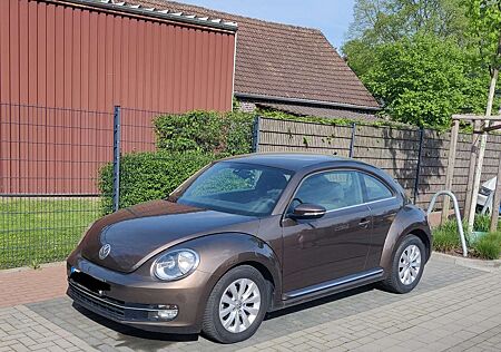 VW Beetle Volkswagen The 1.6 TDI DPF DSG