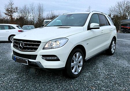 Mercedes-Benz ML 250 CDI/NAVI/AHK/KAMERA