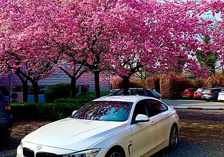 BMW 420d 420 Gran Coupe Sport-Aut. Sport Line