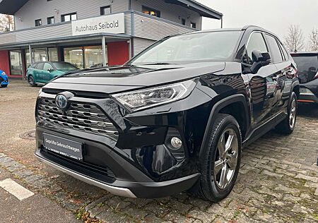 Toyota RAV 4 Hybrid 4x4 Lounge