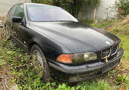 BMW 523 i