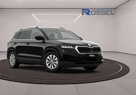 Skoda Karoq 2.0 TDI DSG Selection Pro AHK Elek. Heckklappe RFK