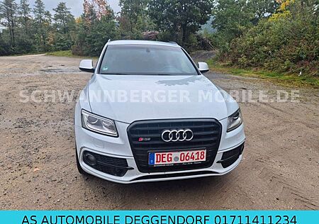 Audi SQ5 3.0 TDI competition quattro
