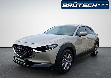 Mazda CX-30 Selection 2.0 AWD / MATRIX / LEDER / BOSE / NAVI /