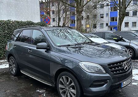 Mercedes-Benz ML 250 BlueTEC 4MATIC 7G-TRONIC