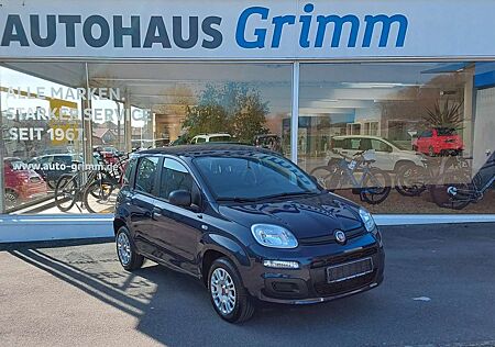 Fiat Panda 1.2 Easy "Klima, Allwetterreifen, Radio"