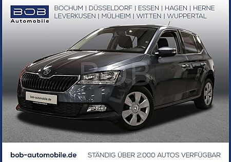 Skoda Fabia 1.0 MPI Cool Plus SHZ PDC KLIMA BT ZV