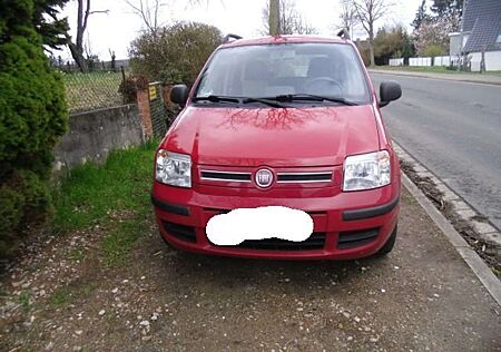 Fiat Panda 1.2 Automatik Dynamic
