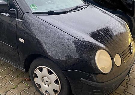 VW Polo Volkswagen 1.2