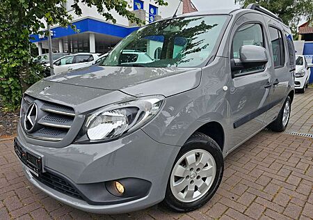 Mercedes-Benz Citan Kombi 112 lang/KLIMA/PDC/KAM