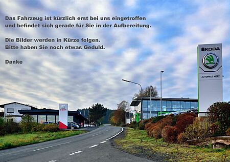 Skoda Fabia 1.0 TSI Top Selection