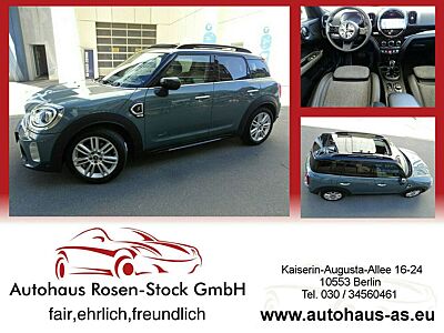 MINI Cooper S Countryman ALL4 Autom,ACC,Kamera,el.Heckklappe