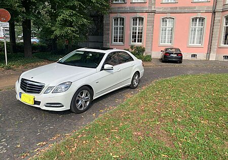 Mercedes-Benz E 220 CDI DPF BlueEFFICIENCY 7G-TRONIC Avantgarde