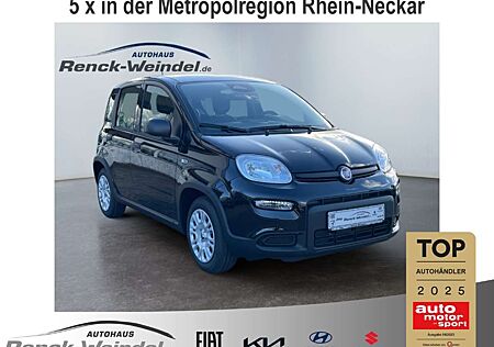 Fiat Panda Pandina Cross 1.0 GSE DAB Spurhalteass. Verkehrsze