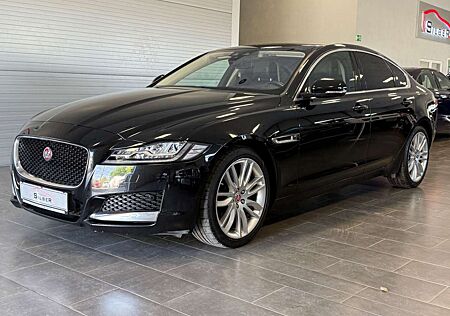 Jaguar XF 30d Prestige Head-Up/Pano/Kamera/LEDs/TotWink