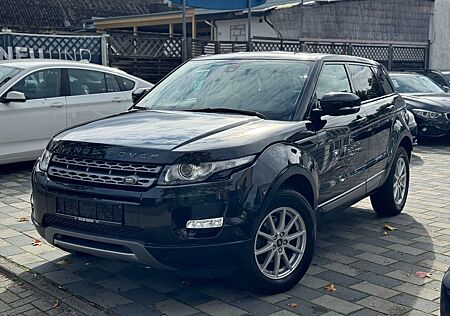 Land Rover Range Rover Evoque Pure AWD Leder