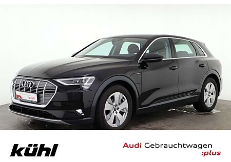 Audi e-tron 55 Q Advanced LED Luft Kamera Navi AHK