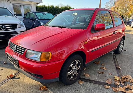 VW Polo Volkswagen 6N 1.4 Servo Klima *Tüv 01/2026*