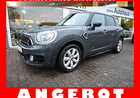 Mini Cooper S Countryman Aut Pano Navi Leder LED