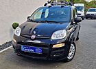 Fiat Panda Easy -Klima/Dachträger/S-Heft/Garantie-