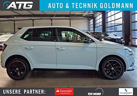 Skoda Fabia MONTE CARLO NAVI LED SHZ PDC CARPLAY 1.HD