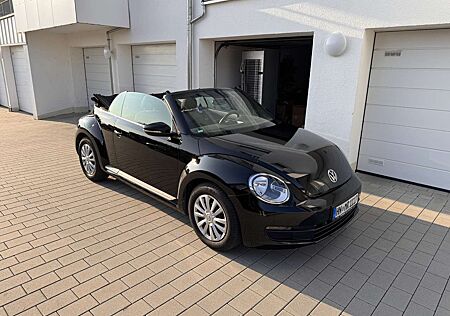 VW Beetle Volkswagen Service & TÜV NEU!